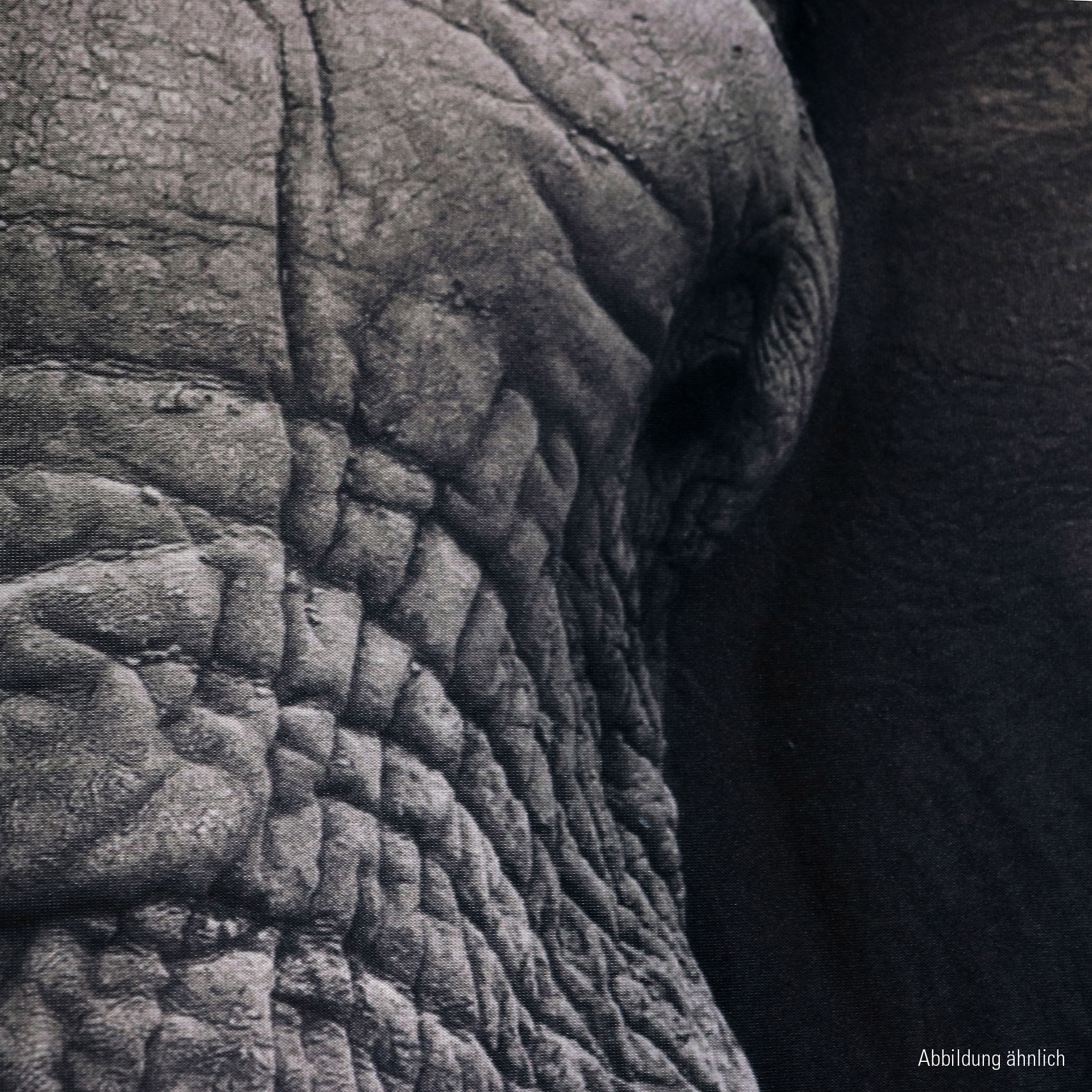 QUIETO Akustisches 3D-Wandbild | Elefant