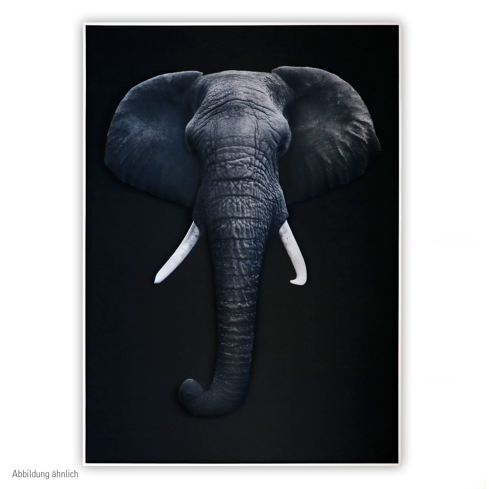 QUIETO Akustisches 3D-Wandbild | Elefant